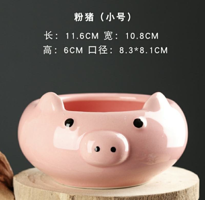 多肉花盆可爱卡通个性韩欧式花盆陶瓷创意清新美丽花盆