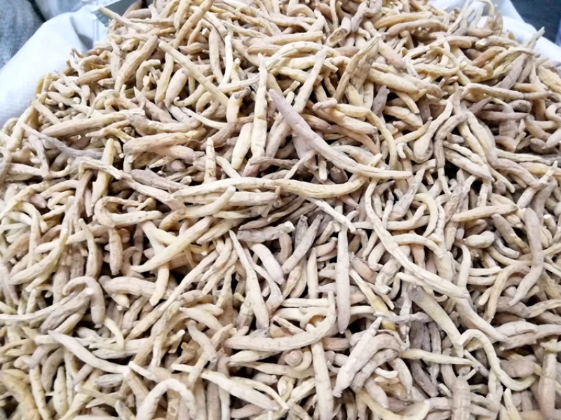 太子参正品无硫太子参孩儿参中药材太子参贵州