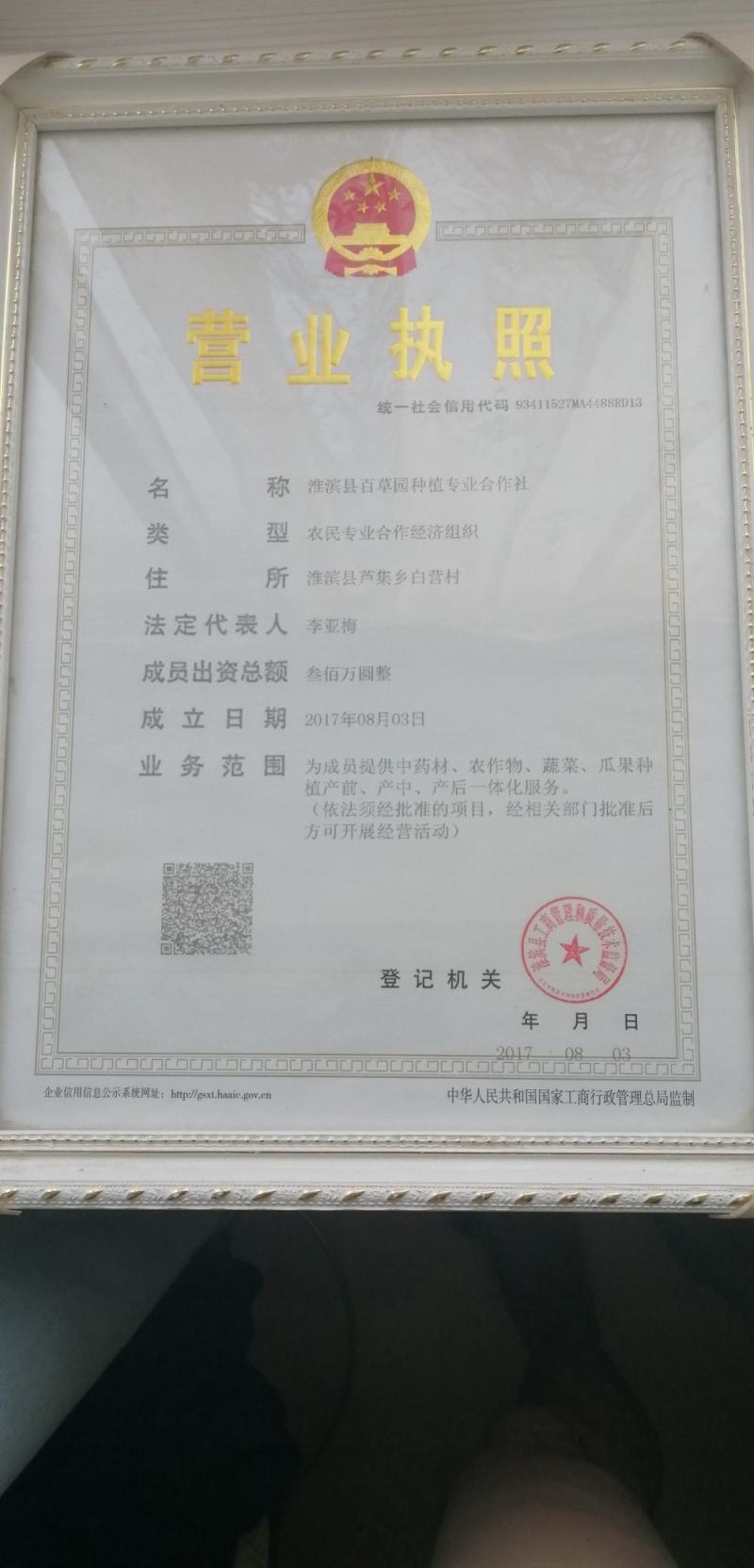九头仙艾产新，欢迎订购