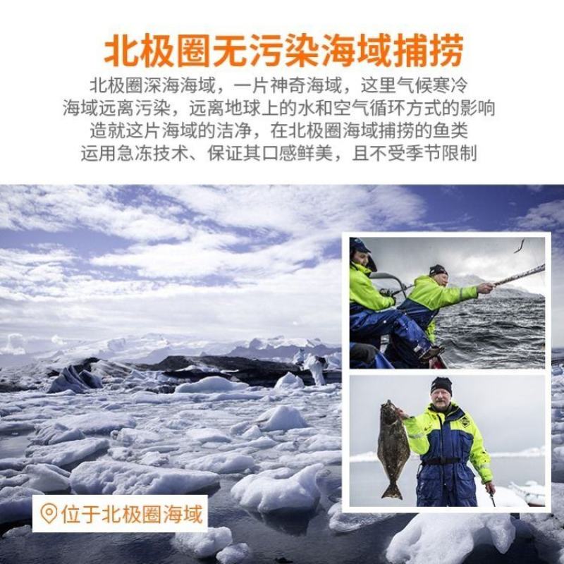 整条鲽鱼鸦片鱼比目鱼海鲜深海鲽鱼黄金鲽鱼宝宝辅