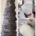 宝宝辅食鳕鱼克切块整条5-6斤/条细鳞整条称重出售不