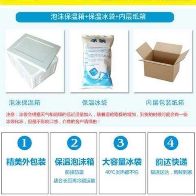 肥猪排骨条新鲜排骨条猪前排肋排桥头排骨19斤江浙沪
