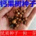 钙果种子新采欧李种子山梅子小李仁绿化行道林木苗木