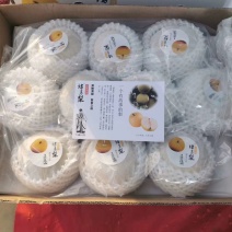 黄金梨大量出货，甜度高，好吃不贵，量大从优，先到先得