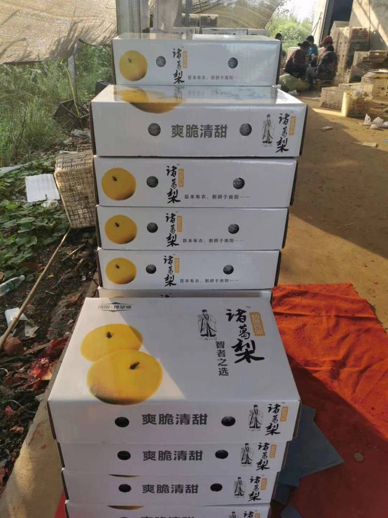 黄金梨大量出货，甜度高，好吃不贵，量大从优，先到先得