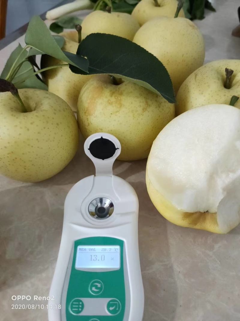 黄金梨大量出货，甜度高，好吃不贵，量大从优，先到先得