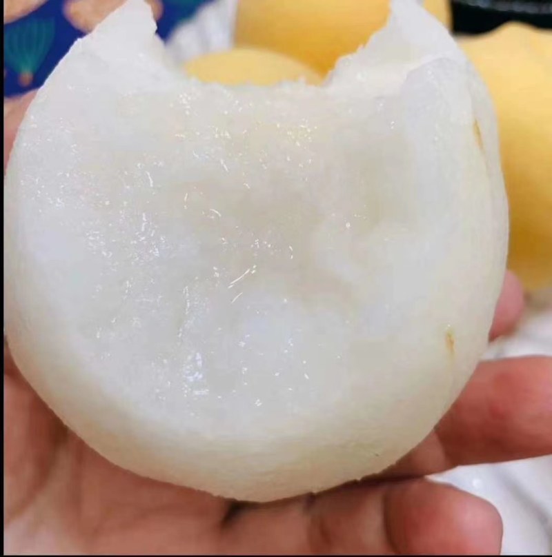秋月梨，基地直供，脆甜可口，多汁，表光干净，量大从优