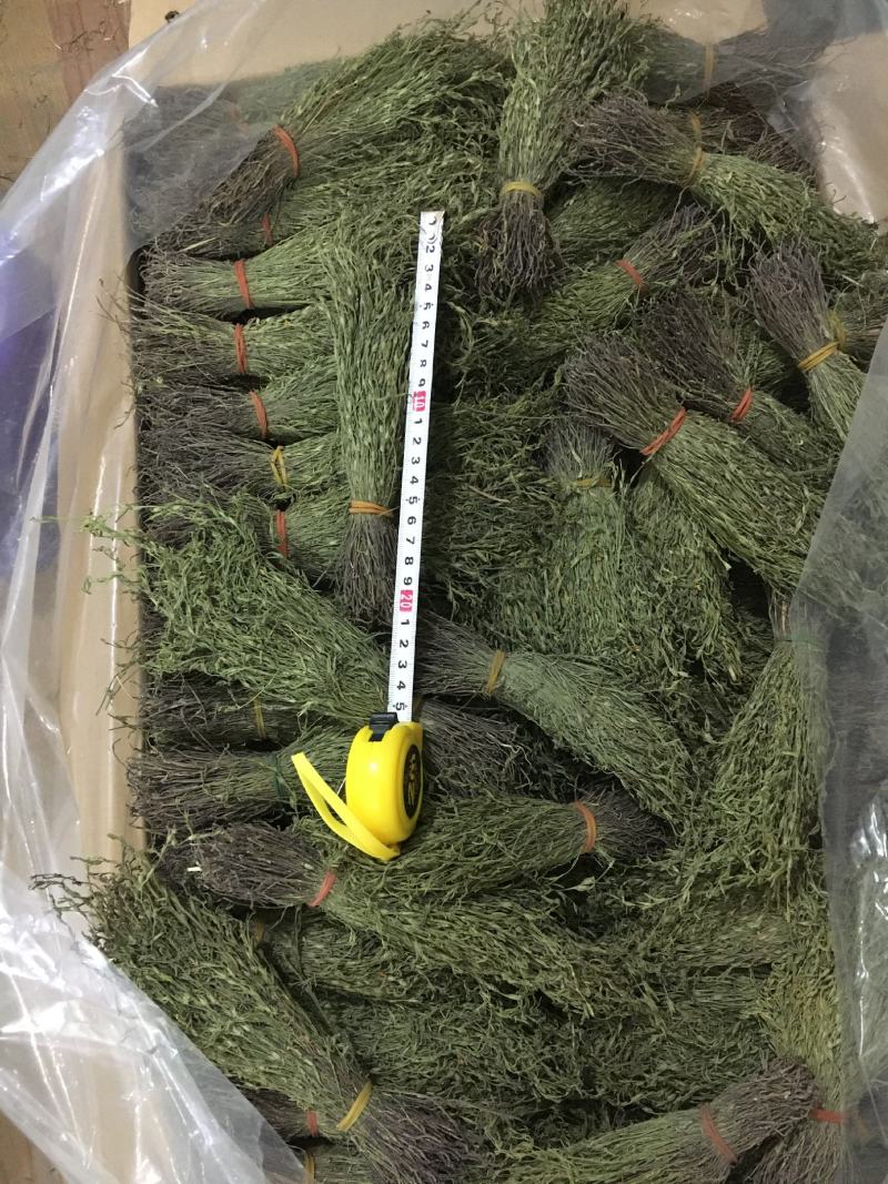 大量供应2020年A货独脚金独脚钳长独脚金一手货源