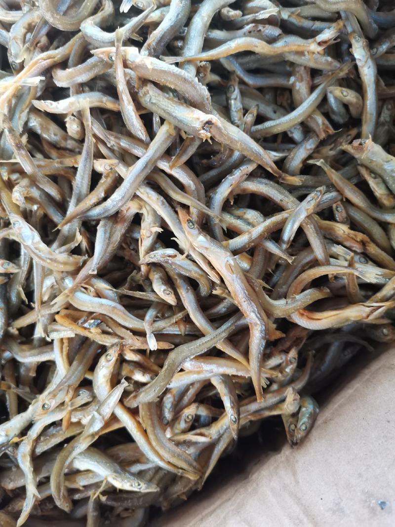 银针鱼，来自大海的优质熟鱼，营养价值高，大量有货。