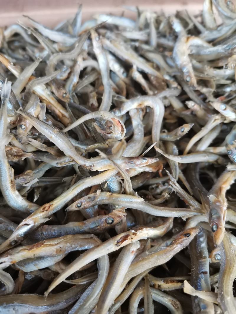 银针鱼，来自大海的优质熟鱼，营养价值高，大量有货。