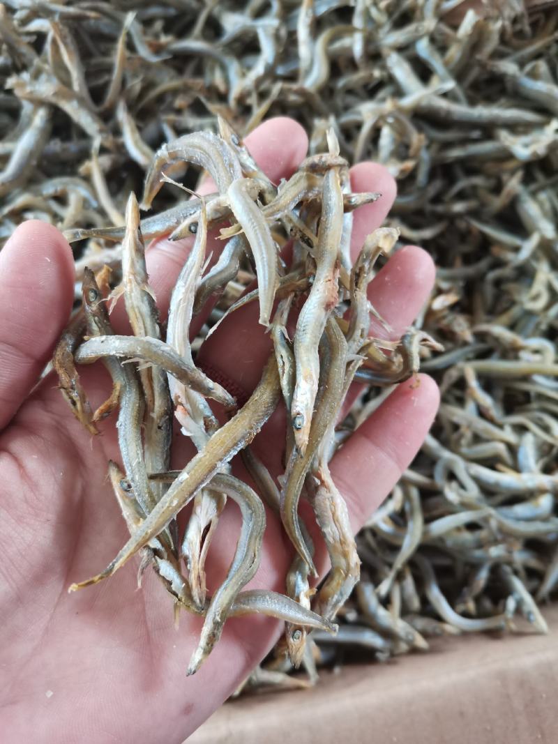 银针鱼，来自大海的优质熟鱼，营养价值高，大量有货。