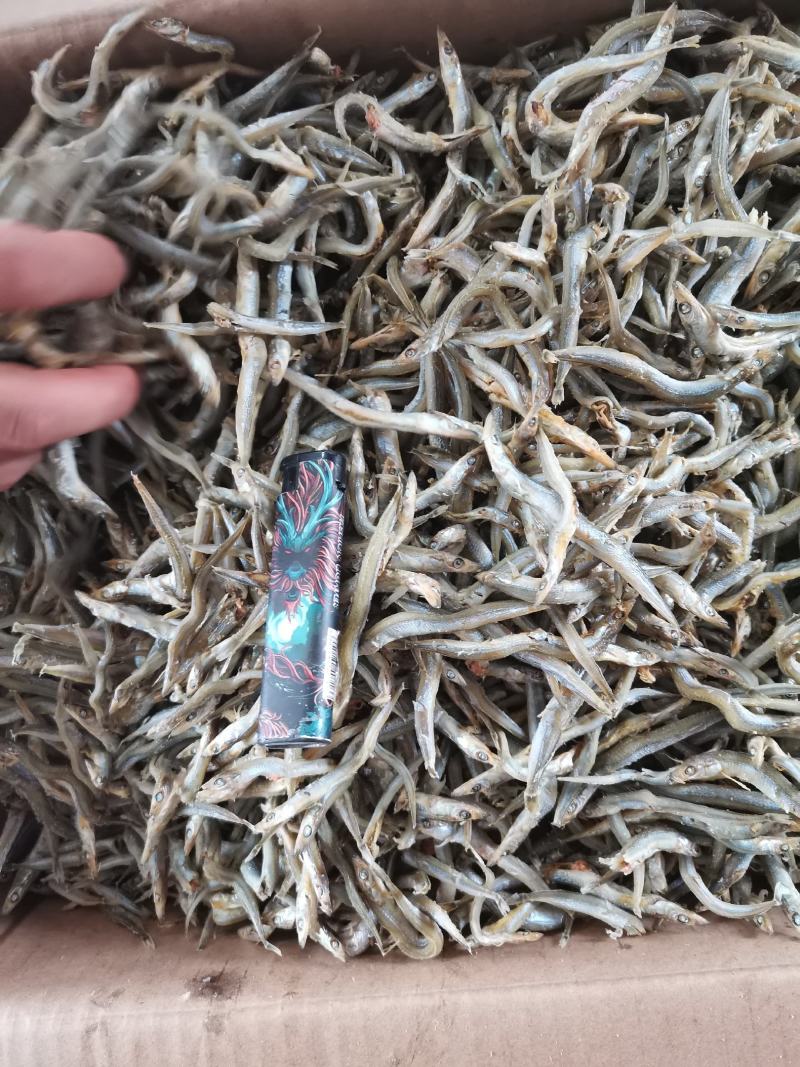 银针鱼，来自大海的优质熟鱼，营养价值高，大量有货。
