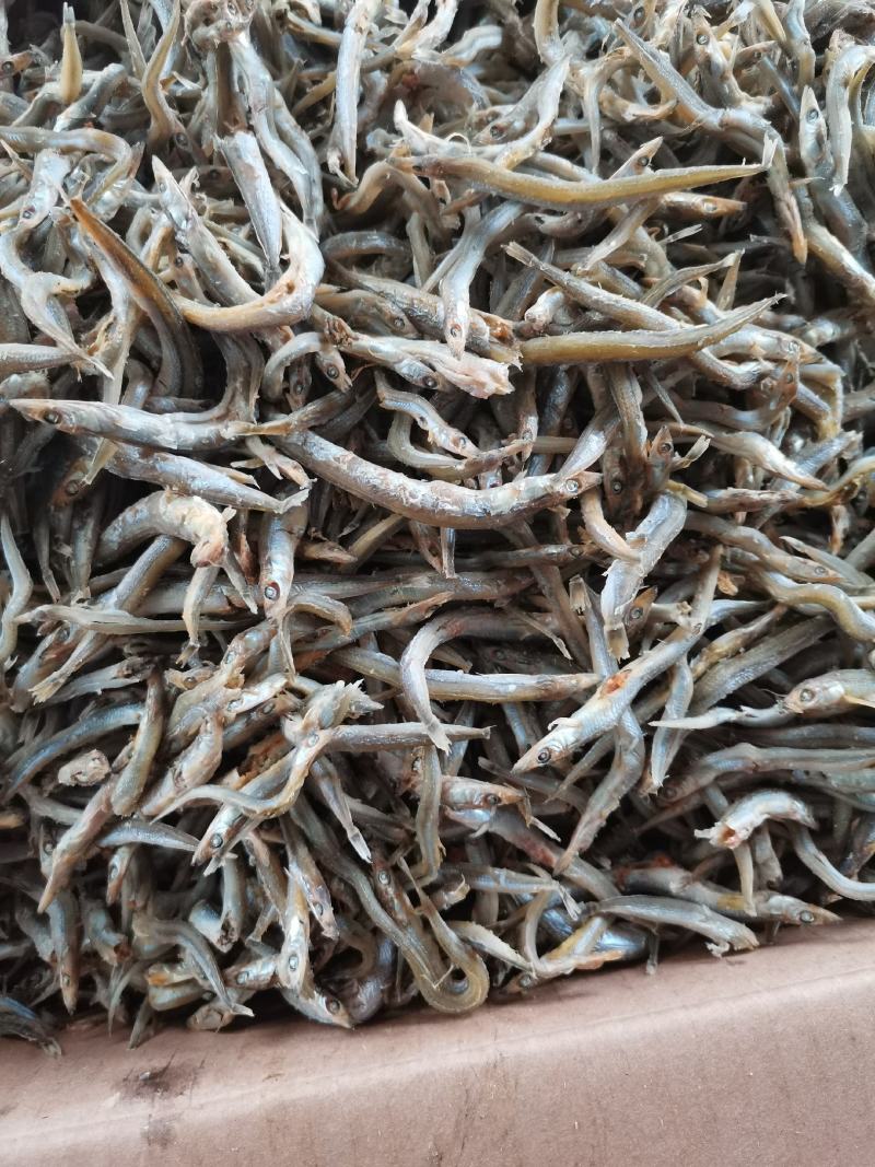 银针鱼，来自大海的优质熟鱼，营养价值高，大量有货。