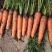 产地大量上市精品胡萝卜🥕
