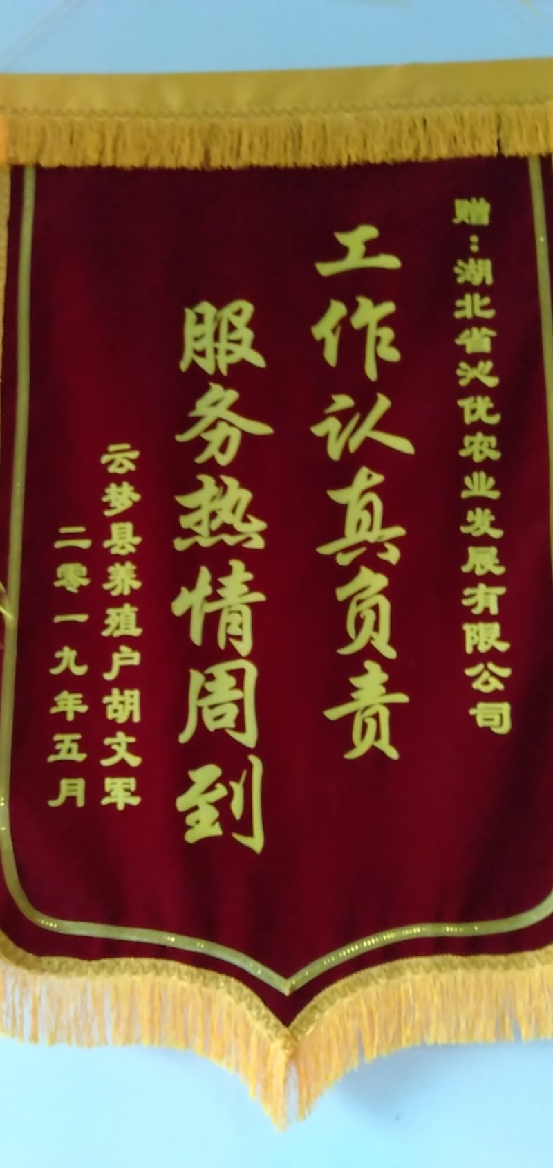 “黄优1号”黄骨鱼苗种产地直销黄颡鱼苗黄辣丁基地直供