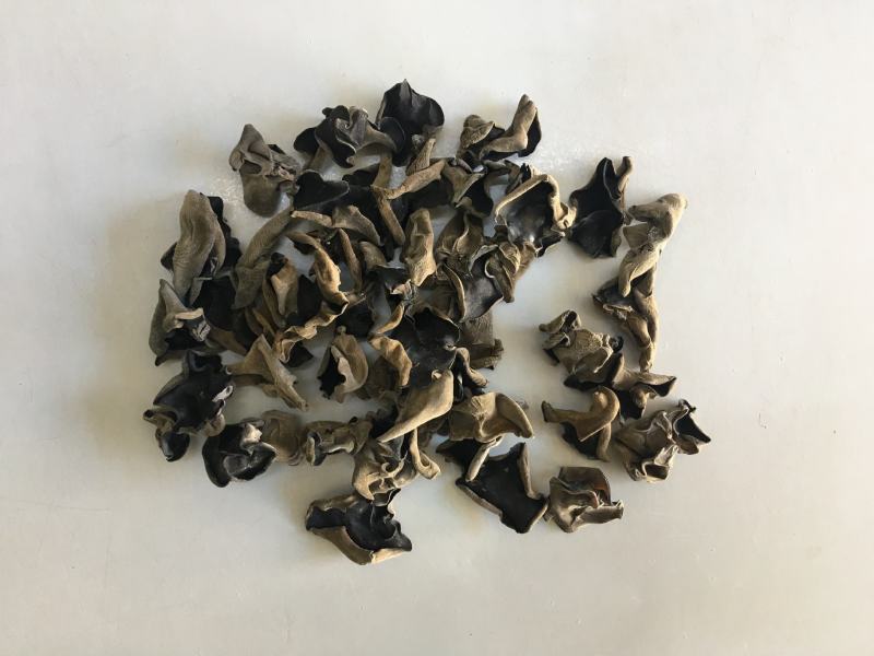 黑木耳、碗耳、食用菌