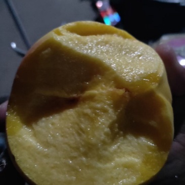 黄金桃甜黄金桃大量上市了
