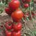 精品大红果番茄种子，大红果西红柿种子，高产抗病耐裂果，硬