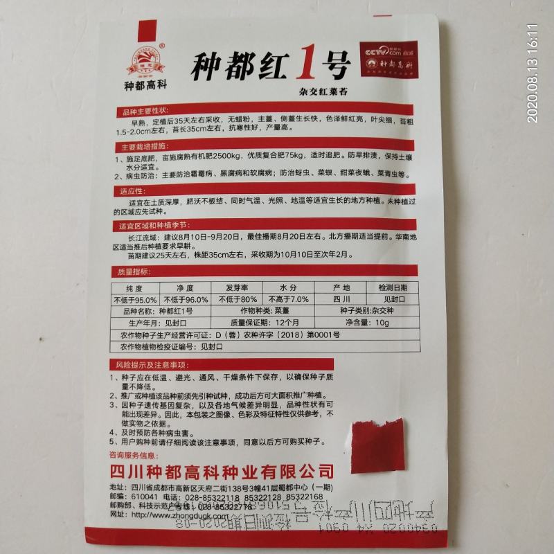 红菜苔种子，种都红1号红菜苔种子杂交品种，高产