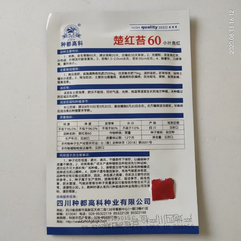 红菜苔种子，种都红1号红菜苔种子杂交品种，高产