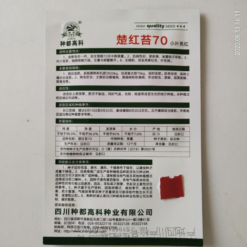 红菜苔种子，种都红1号红菜苔种子杂交品种，高产