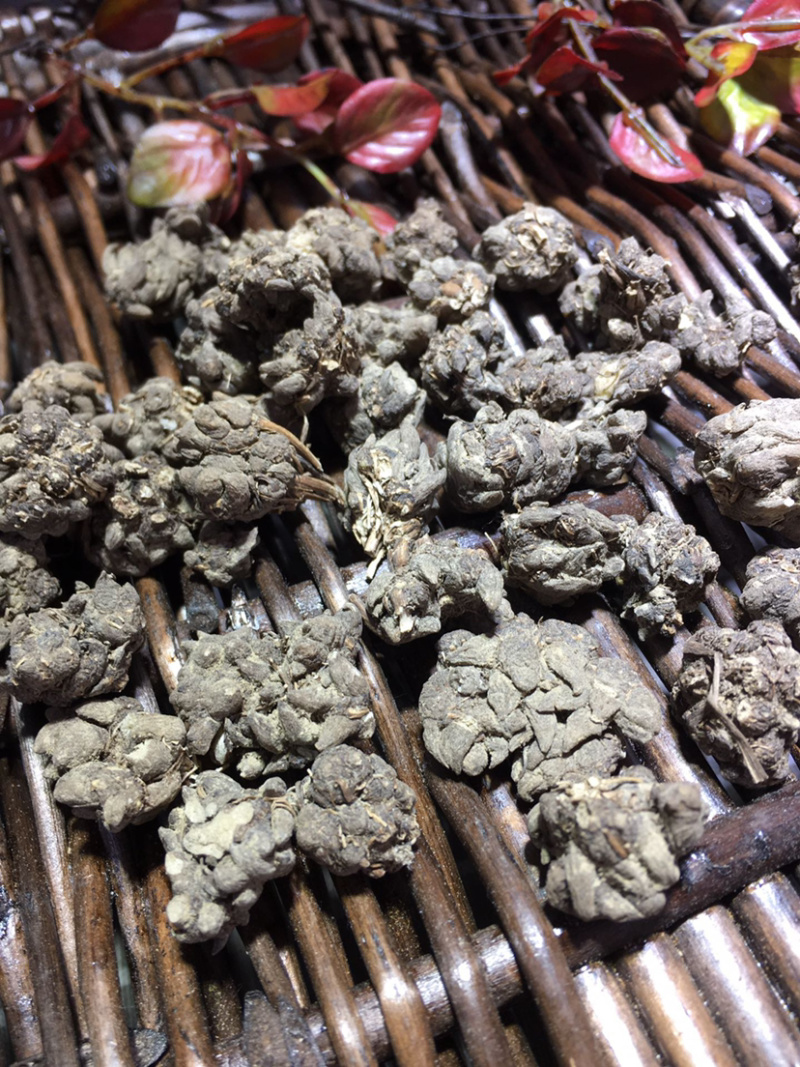 猫爪草微商电商实体淘货源专业保密一件代发专注批发