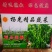 精品高山芜湖椒高山反季节蔬菜大量供应