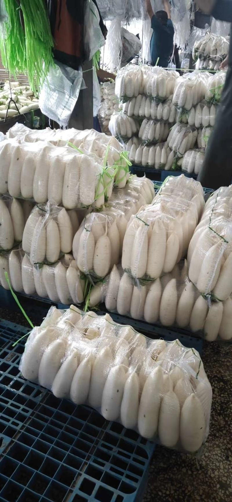 西红柿基地直供，保质保量支持发货欢迎咨询订购