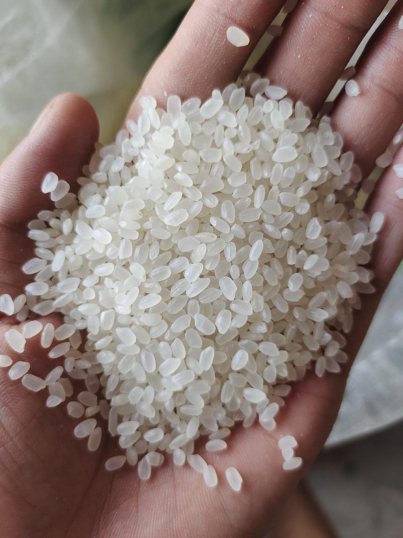大米黑龙江珍珠米米香劲道可以分装小包装
