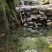 【精准品质】野生大个灵芝包野生高山生长农家自采超大礼品