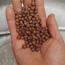 精品麻豌豆，专门做鸟食、鸽子粮的，质量好，价值优。