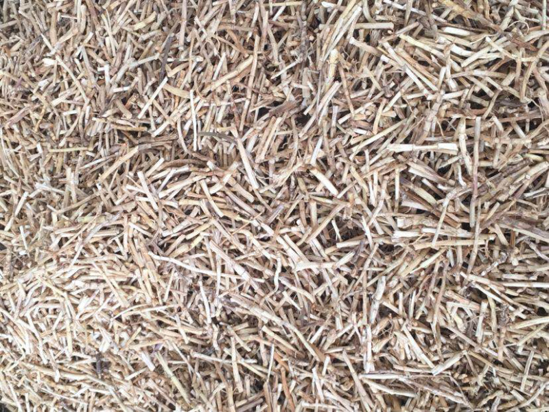 白茅根【包邮】三斤起发货可批量可零售量大从优