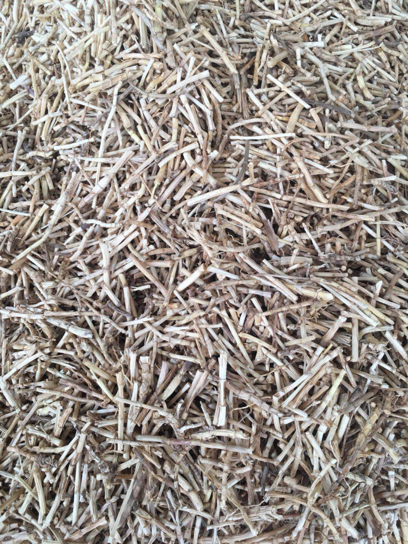 白茅根【包邮】三斤起发货可批量可零售量大从优