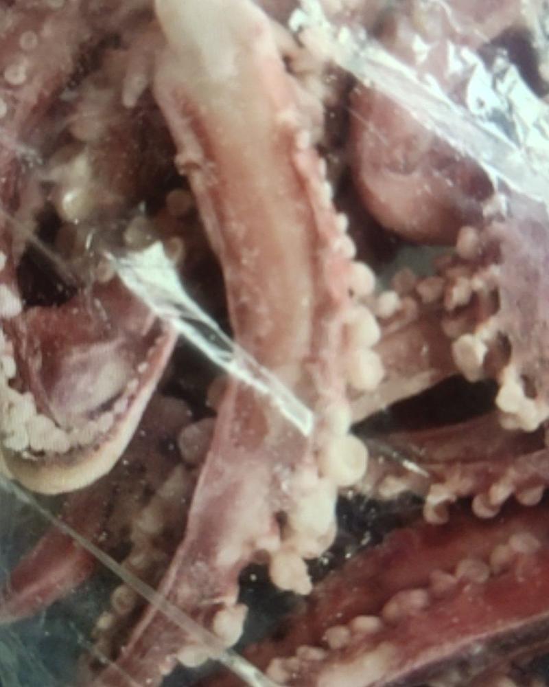 章鱼须，也是鱼类的一种产品，