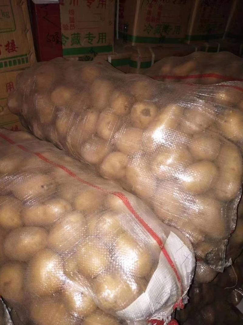 荷兰十五土豆精品1到3，2到4小土豆价格合理，质量上乘