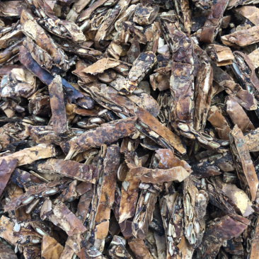 产地直销瓜蒌一手货源量大从优