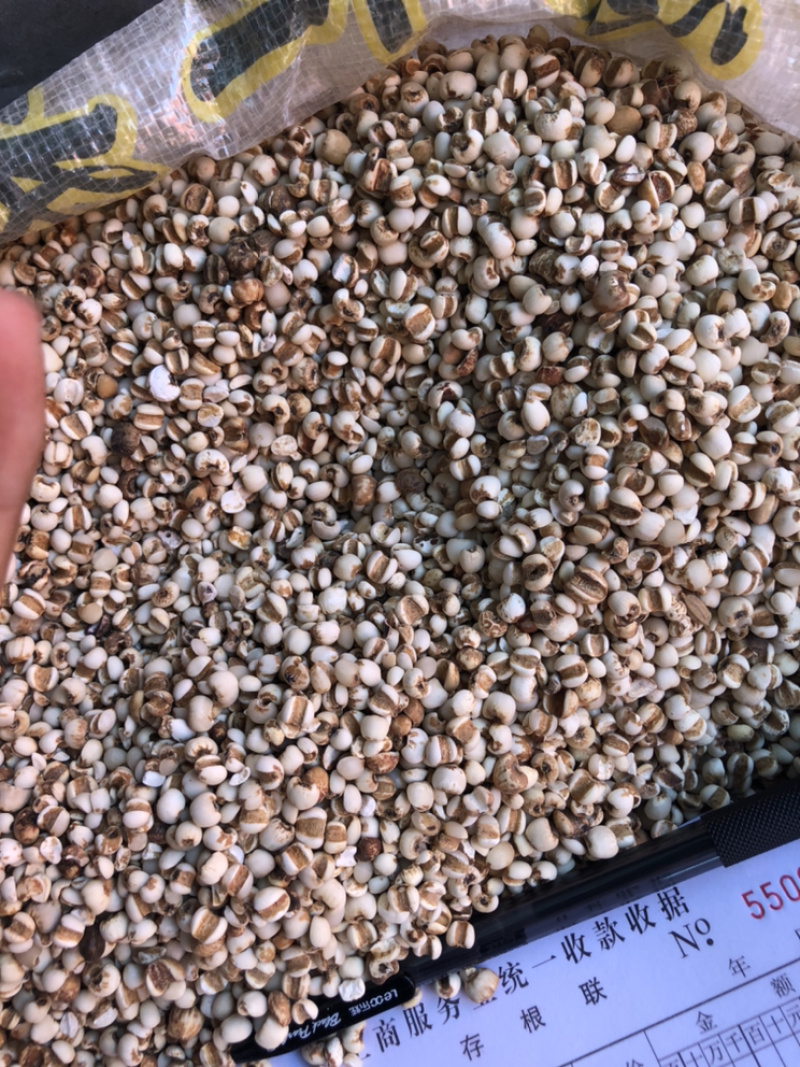 产地直销薏米仁一手货源量大从优