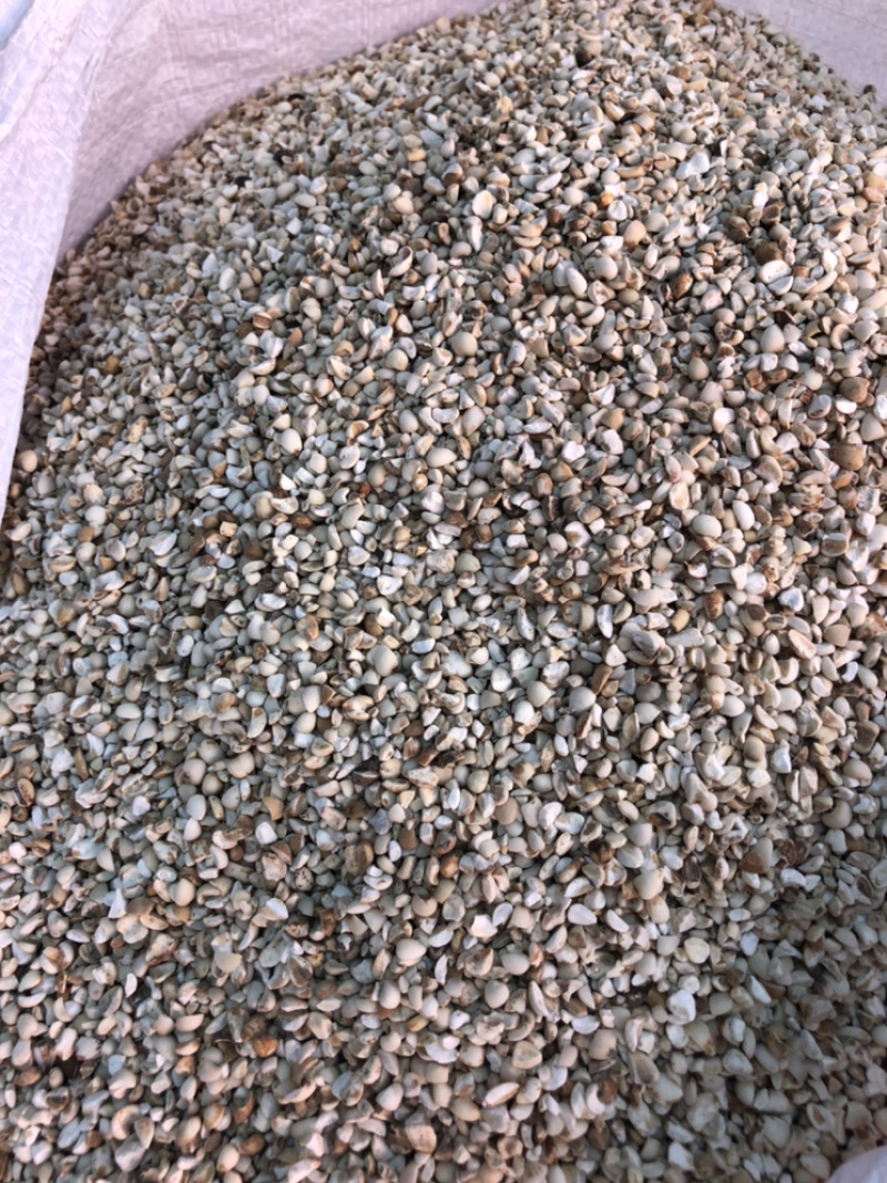 产地直销薏米仁一手货源量大从优