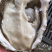 乳山蚝生蚝不粉烧烤爽口