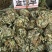 金钱草～新货扎把新货～1公斤起售～量大优惠～