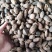 草果电烤草果碳烤草果剪把草果草果仁草果皮