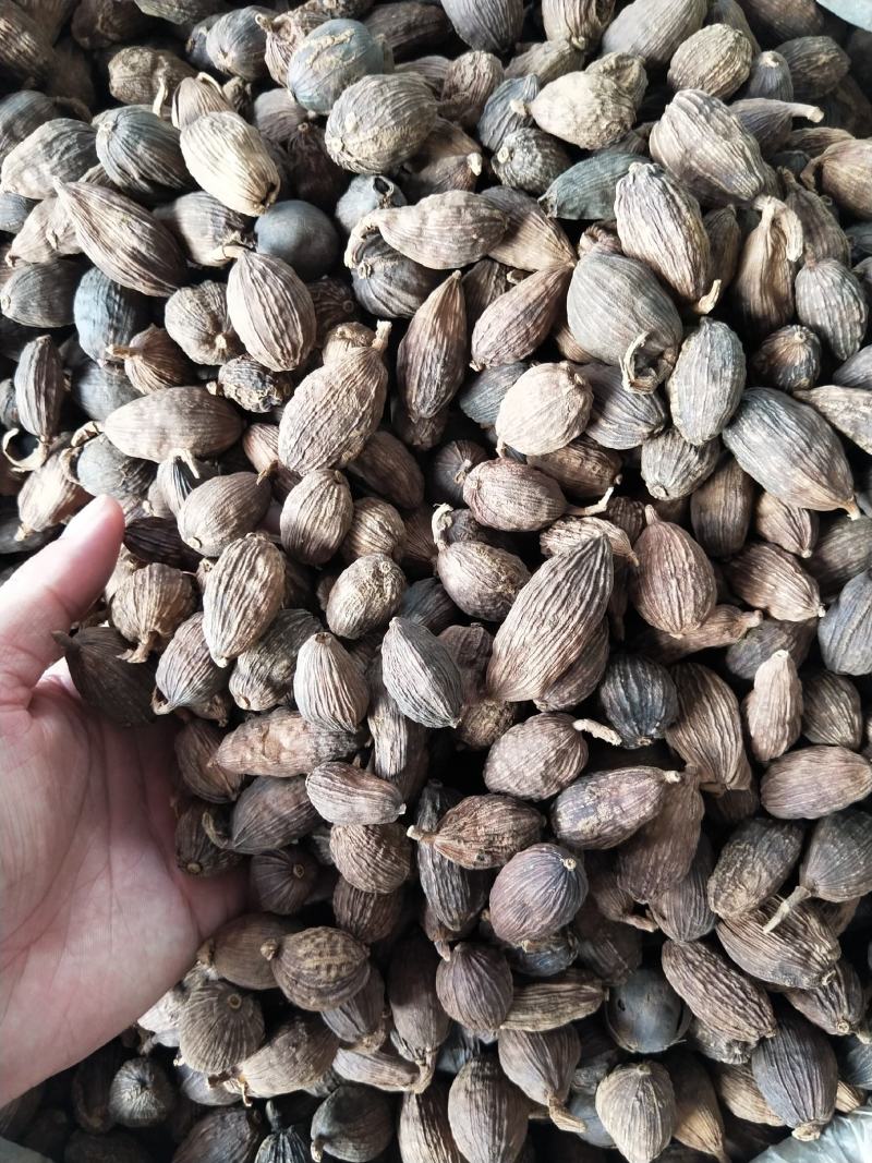 草果电烤草果碳烤草果剪把草果草果仁草果皮
