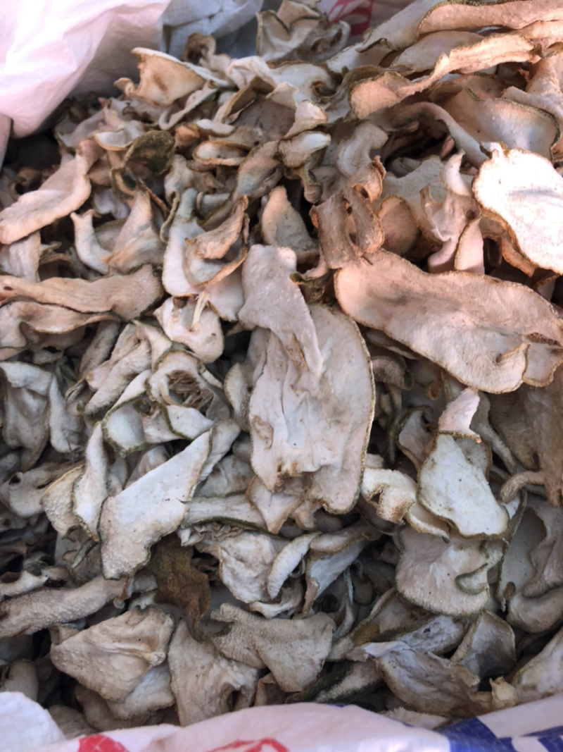 产地直供佛手一手货源