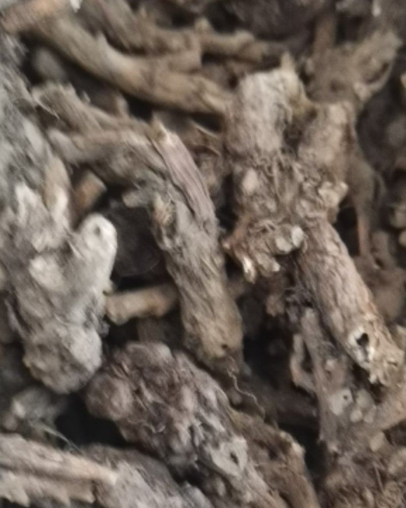 贵州百里杜鹃中药材穿心莲根干货