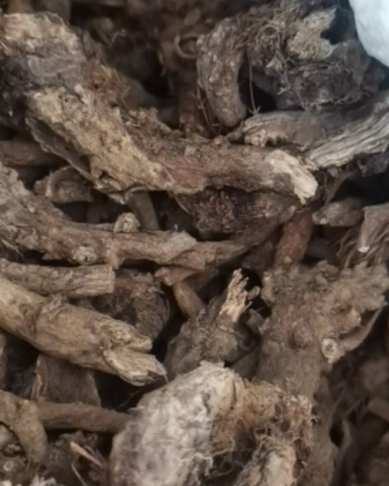 贵州百里杜鹃中药材穿心莲根干货