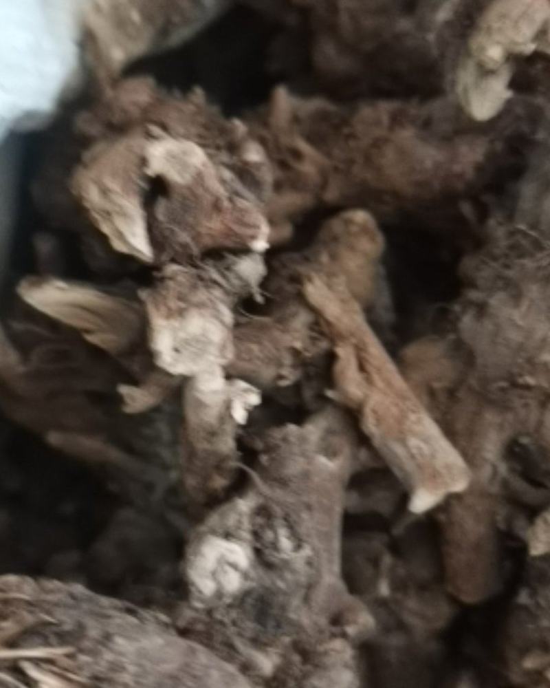 贵州百里杜鹃中药材穿心莲根干货