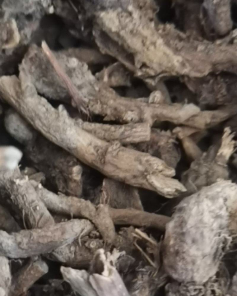 贵州百里杜鹃中药材穿心莲根干货