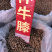 怀牛膝产地直销一手货源
