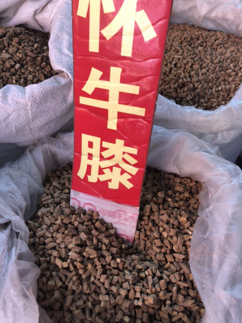 怀牛膝产地直销一手货源