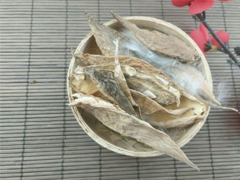天浆壳萝摩荚、天浆壳、赖瓜瓢、羊角、麻雀棺材、剌猬瓜、